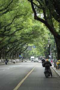 在回桂林，拍到了迄今為止我最喜歡的一條路