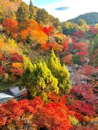 5天玩轉日本 超詳細行程攻略