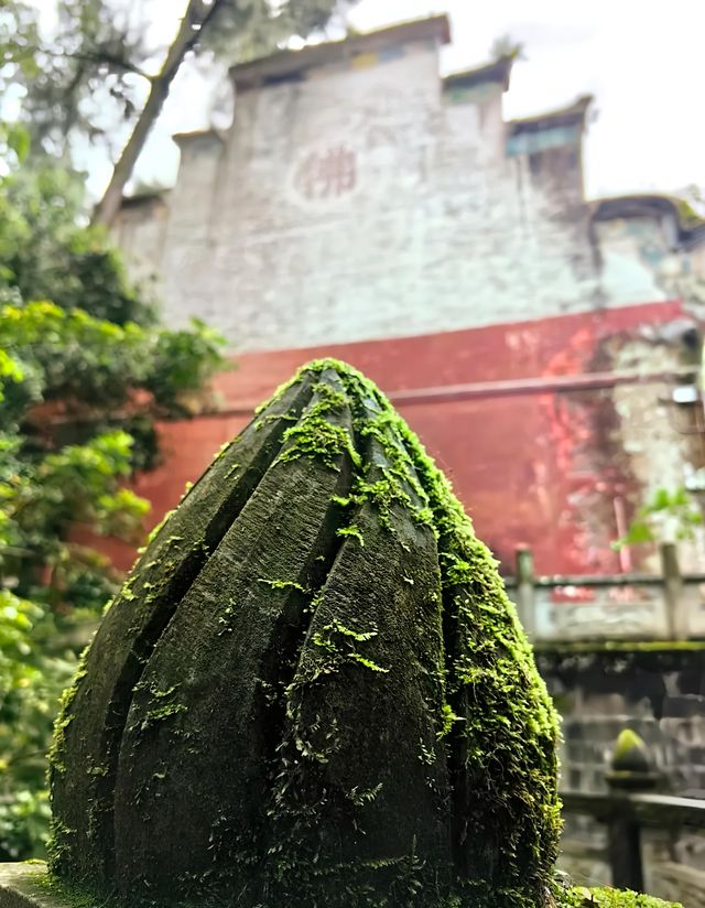 達州真佛山｜自然與禪意交織的詩意畫卷