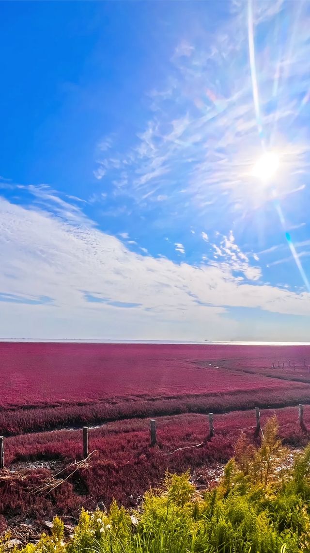 一下車，我就直奔紅海灘國家風景廊道
