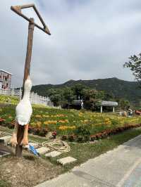 塞爾維亞等多國免簽暢遊 說走就走的旅行