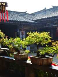 6日暢遊昆明-撫仙湖-建水 這些玩法你肯定不能錯過