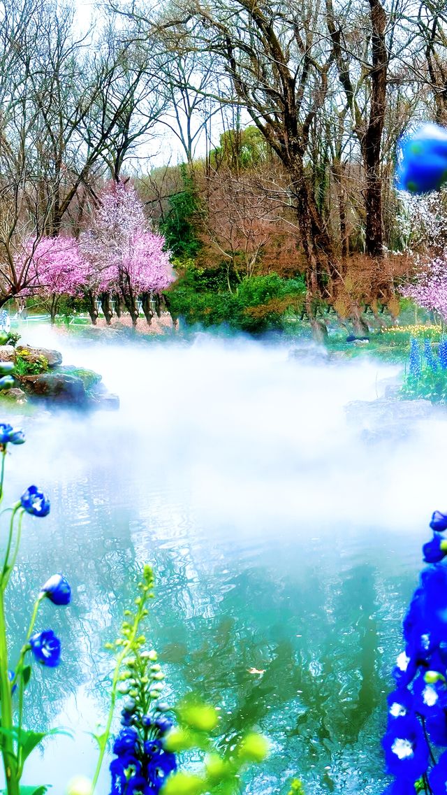 南京限定！闖進現實版莫奈花園，美到犯規