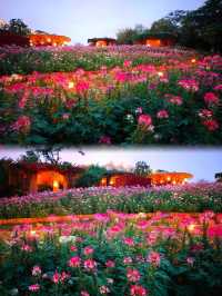 闖進莫奈花園的仲夏夜之夢
