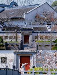 盤點上海十大美景鬱金香公園之｜閘北公園