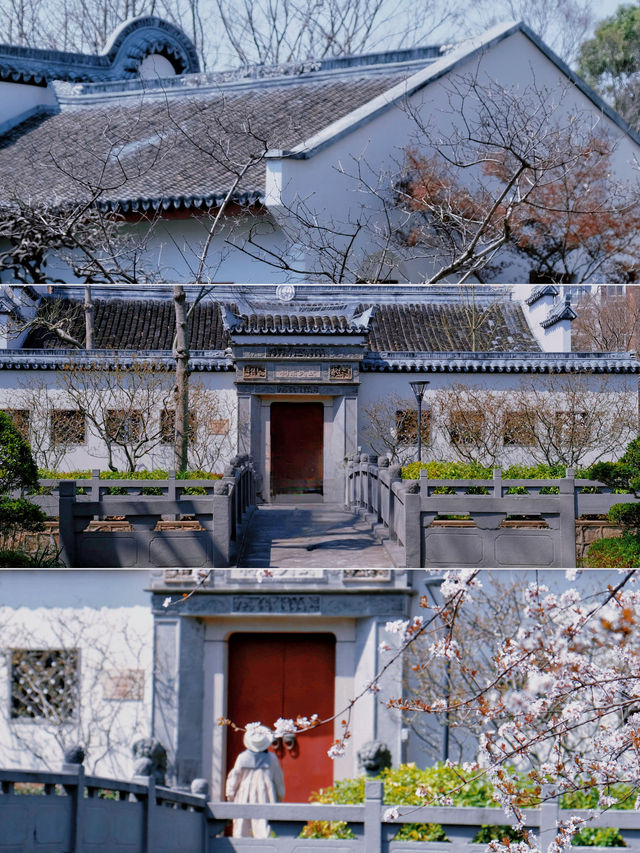 盤點上海十大美景鬱金香公園之｜閘北公園