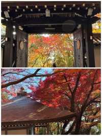 日本草津市旅遊詳細攻略