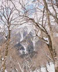 日本・四日市|鈴鹿山脈：探索三重縣最美麗的山岳風光！