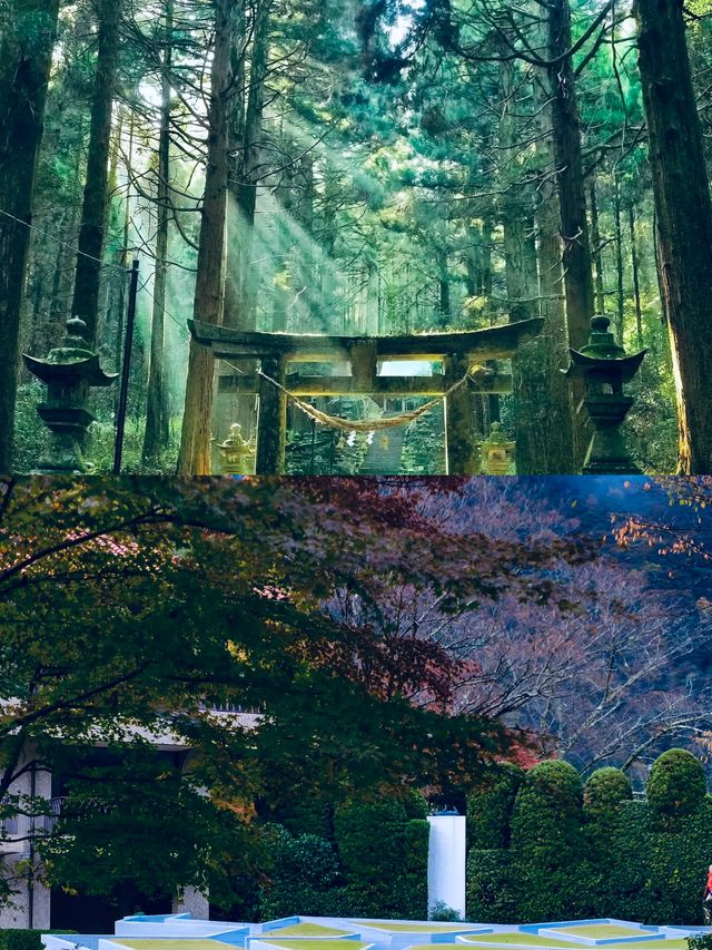 度假天花板