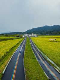 和城市斷交一天，杭州1h直達富春山居圖