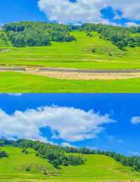 關山草原旅遊攻略