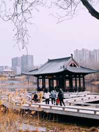 鄭州｜西流湖公園｜春日限定｜梅櫻共舞的浪漫奇遇
