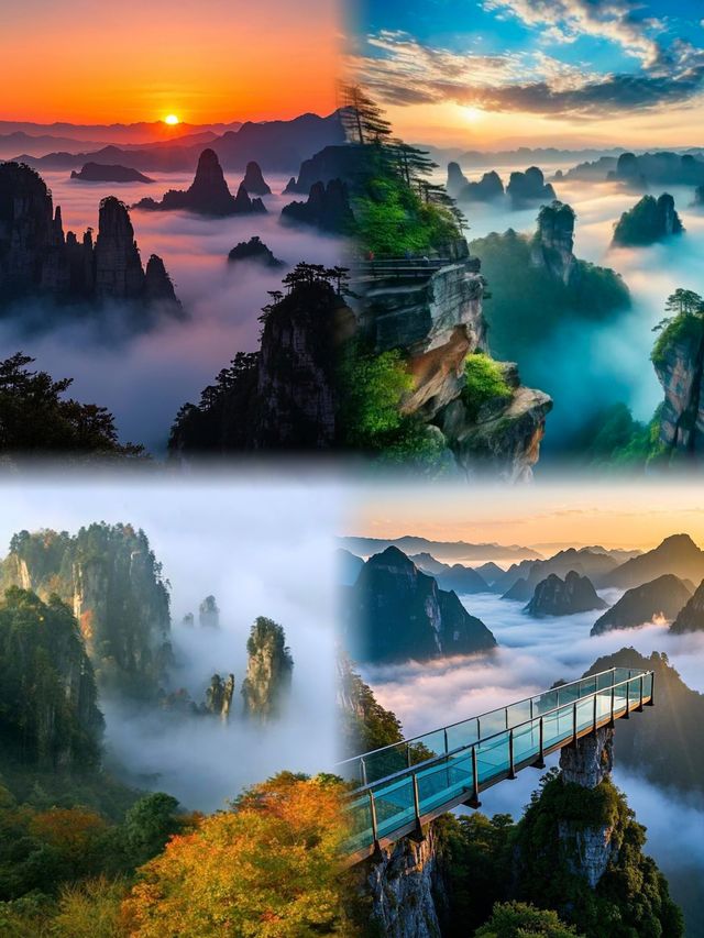 張家界。一個去了還想去的地方