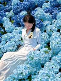 🌷珠海隱藏寶地 | 假花叢中的真小鹿奇遇✨