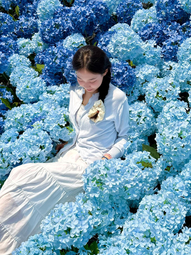 🌷珠海隱藏寶地 | 假花叢中的真小鹿奇遇✨