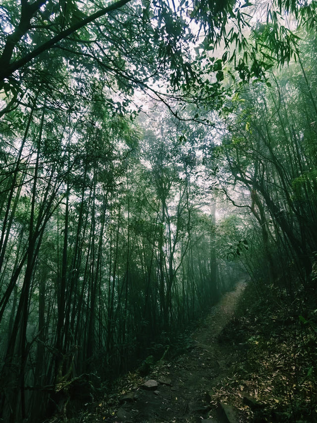 廣西壯族自治區著名景點：平蘭頂。適合拍照打卡、週末閒暇度假地！ 