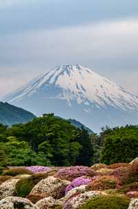 箱根發現了拍攝富士山的最佳位置