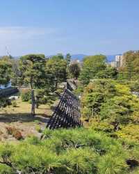在二條城時空漫遊，解鎖將軍的春日度假庭園
