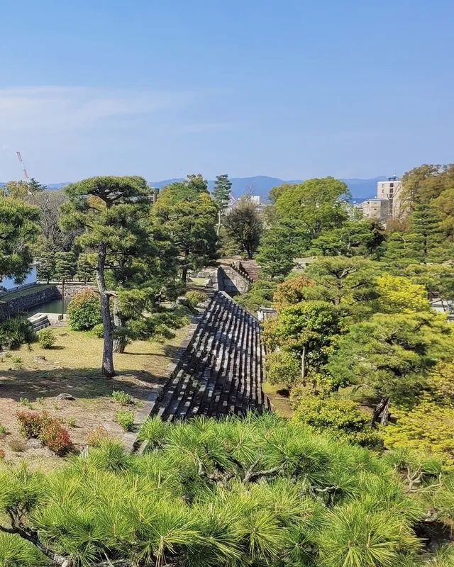 在二條城時空漫遊，解鎖將軍的春日度假庭園