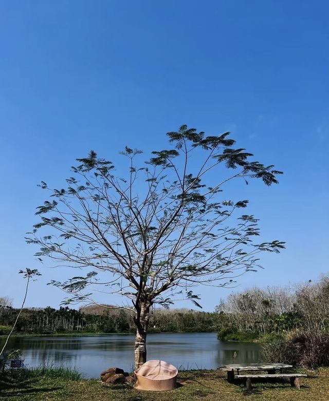 闖入瓊海綠野童話！杜爸爸農場的治癒系田園慢生活