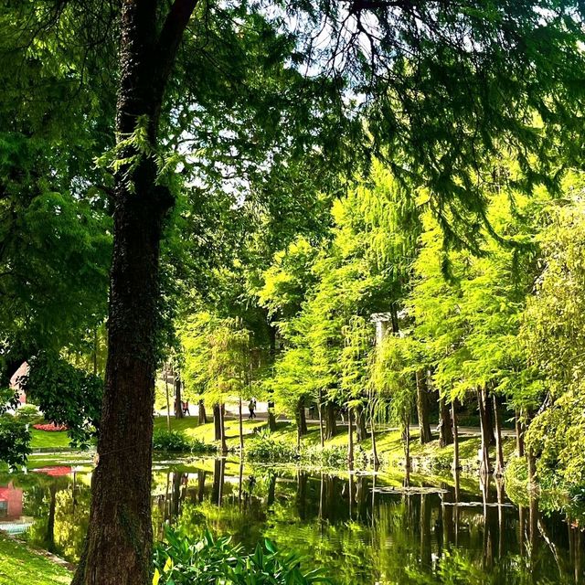 綠野仙蹤｜越秀公園💚藏於廣州鬧市的絕美抹茶小森林🌳