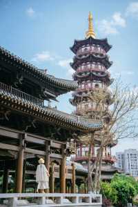 總要嚟一次西昌睇藍花楹喇附2天1夜攻略