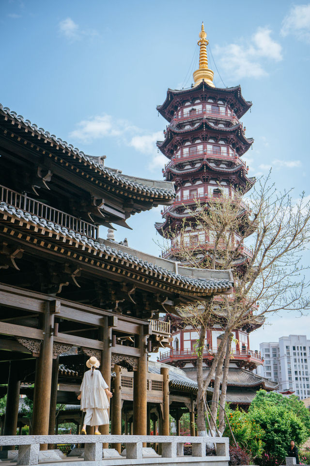 總要嚟一次西昌睇藍花楹喇附2天1夜攻略
