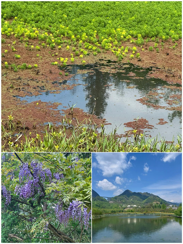六盤水受罪已回，要去嘅姐妹慎重