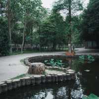 廣州小眾公園！樹木公園 這就是i人最愛的靜謐感吧