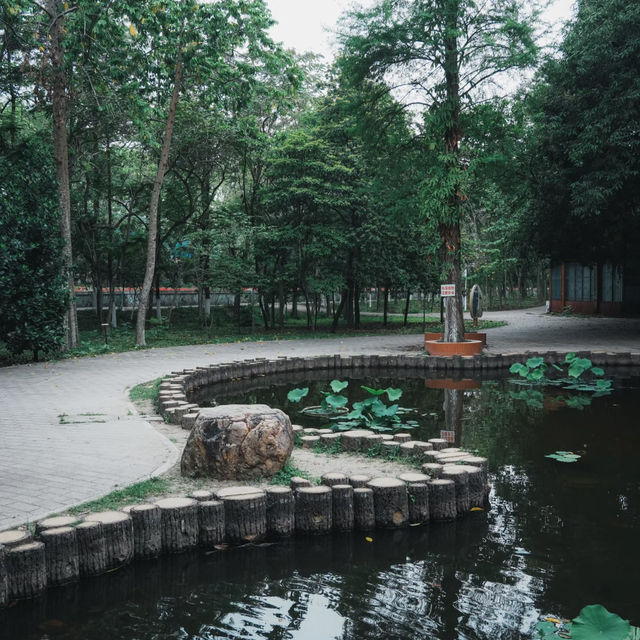 廣州小眾公園！樹木公園 這就是i人最愛的靜謐感吧