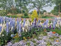 Dream Day at Chenshan Botanical Gardens