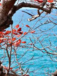 蜈支洲島|藏在三亞嘅夢幻之島