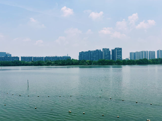 廣東省佛山市順德著名公園：順峰山公園，適合觀光旅遊、度假休閒等！