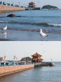 一個被海鷗親吻的城市｜山東·青島