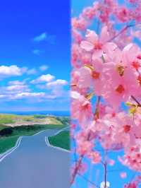 「醉」美貴州之旅，如詩如畫的黔程