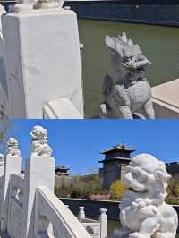 啱啱喺大同返嚟，講啲大實話！