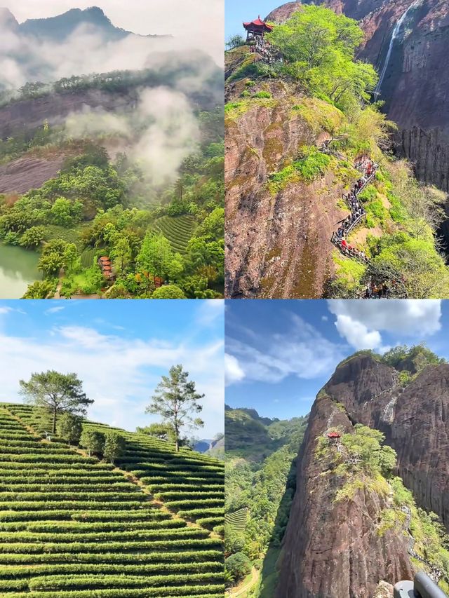 攀武夷山賞美景
