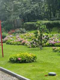 貴陽河濱公園：繡球花盛景