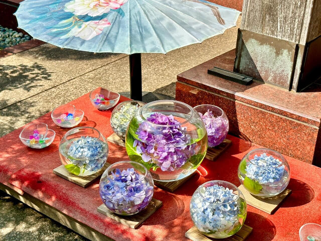 東京新宿 | 隱藏的繡球花祕境