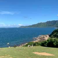 🌊呢度根本係從漫畫走出黎嘅景！