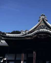 伊豆半島的寶藏靜謐小鎮——修善寺