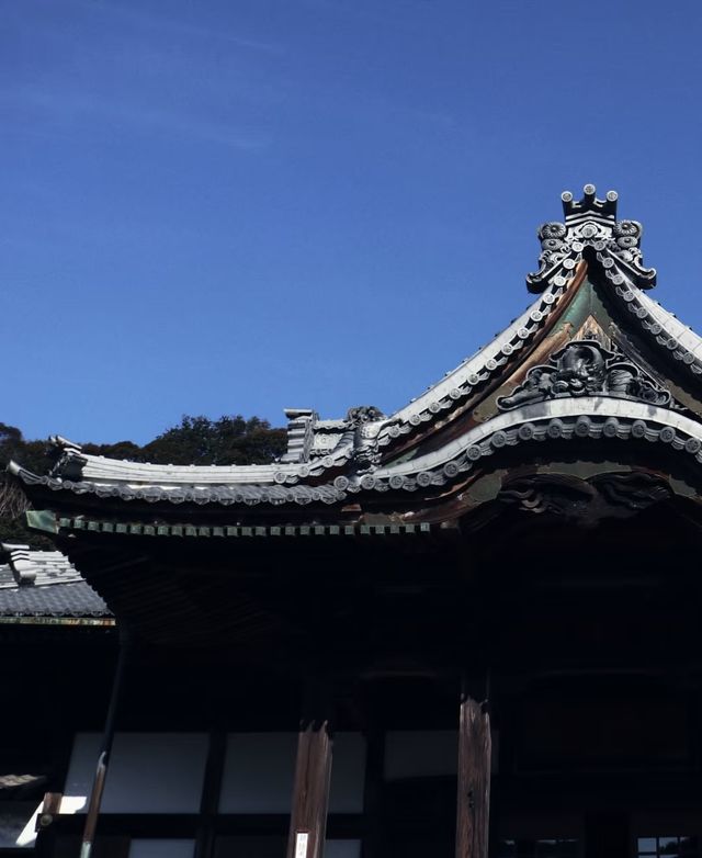 伊豆半島的寶藏靜謐小鎮——修善寺