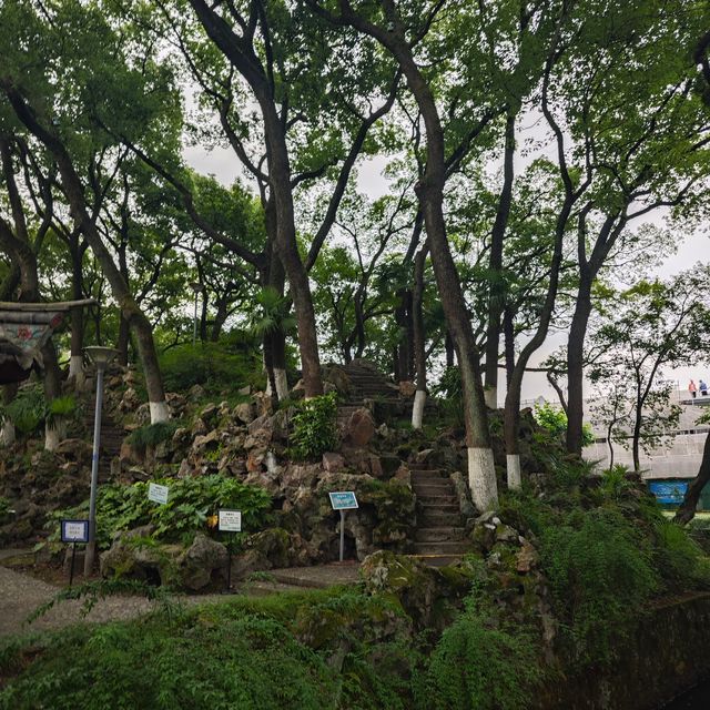 我打卡咗張蒼水故居