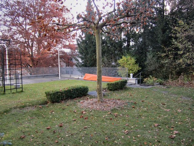 蘇黎世花園奇幻體驗 · Discover Zurich's Secret Garden 