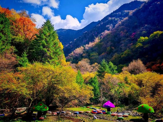 松坪溝深度遊記｜避開人潮的秘境指南
