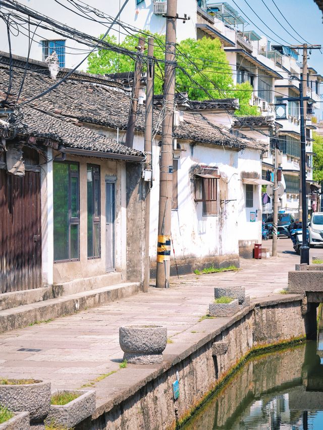 紹興秘境 | 西咸歡河沿的慢時光漫遊指南