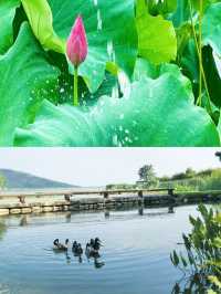 上海周邊遊：太湖邊嘅童話世界