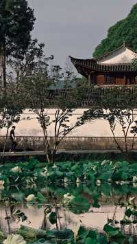 夏日消暑 | 騰沖和順古鎮蒲密荷畔山舍客棧