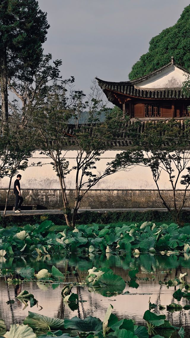 夏日消暑 | 騰沖和順古鎮蒲密荷畔山舍客棧