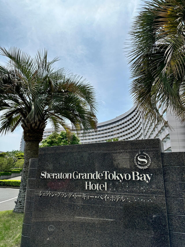 東京灣喜來登｜迪士尼旁泳池+海景，親子度假絕配🏰
